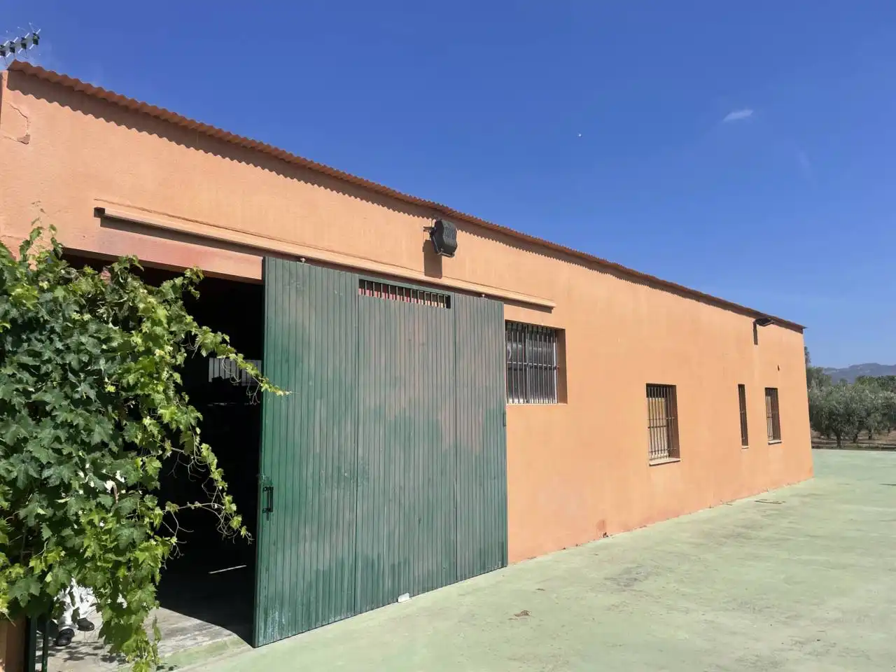 Vista exterior de Casa o chalet en venta en Móra d'Ebre con Aire acondicionado, Calefacción y Jardín privado
