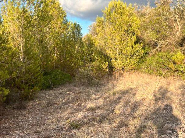 Terreno en Venta en Polígono, 8 en Algaida