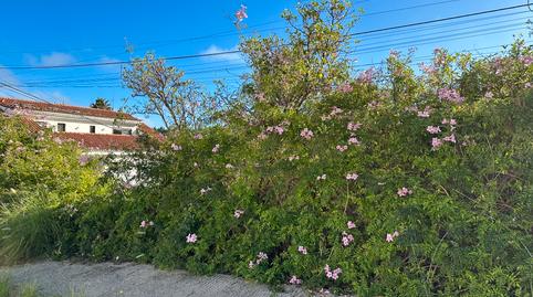 Photo 2 of Residential for sale in Calle Mirlo, 49, Los Alvarados - Fuente los Berros - Bandama, Las Palmas