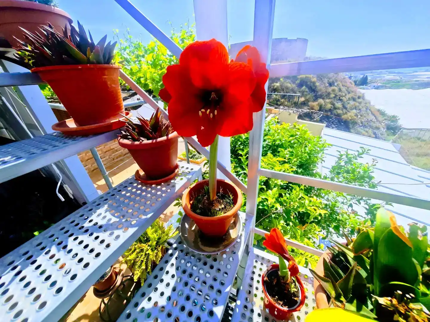 Terrassa de Finca rústica en venda en Algarrobo