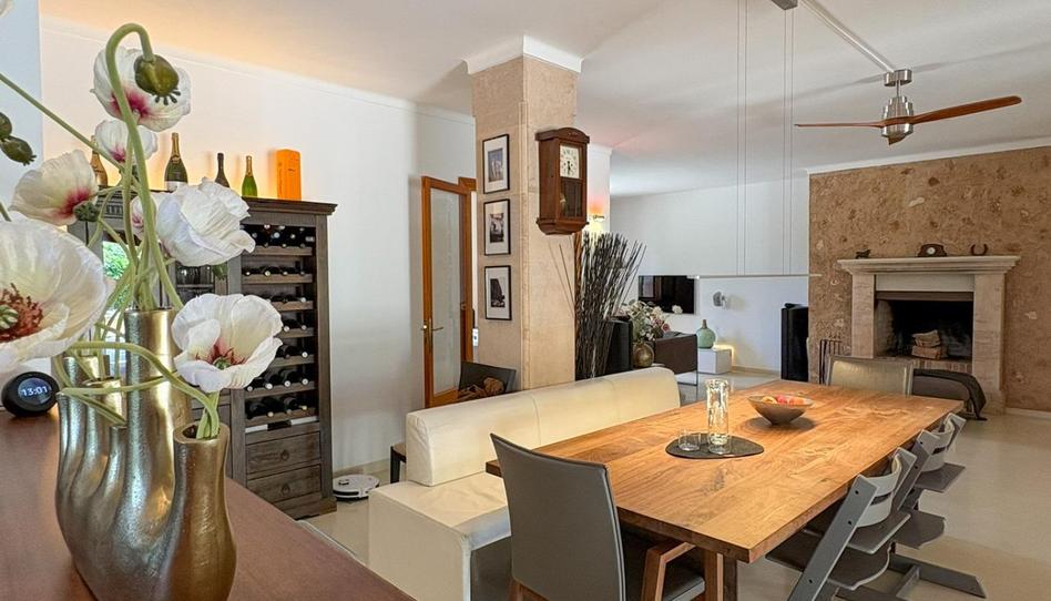 Foto 1 de Finca rústica en venda a  Ses Cases-noves, Zona Rústica - Interior, Illes Balears