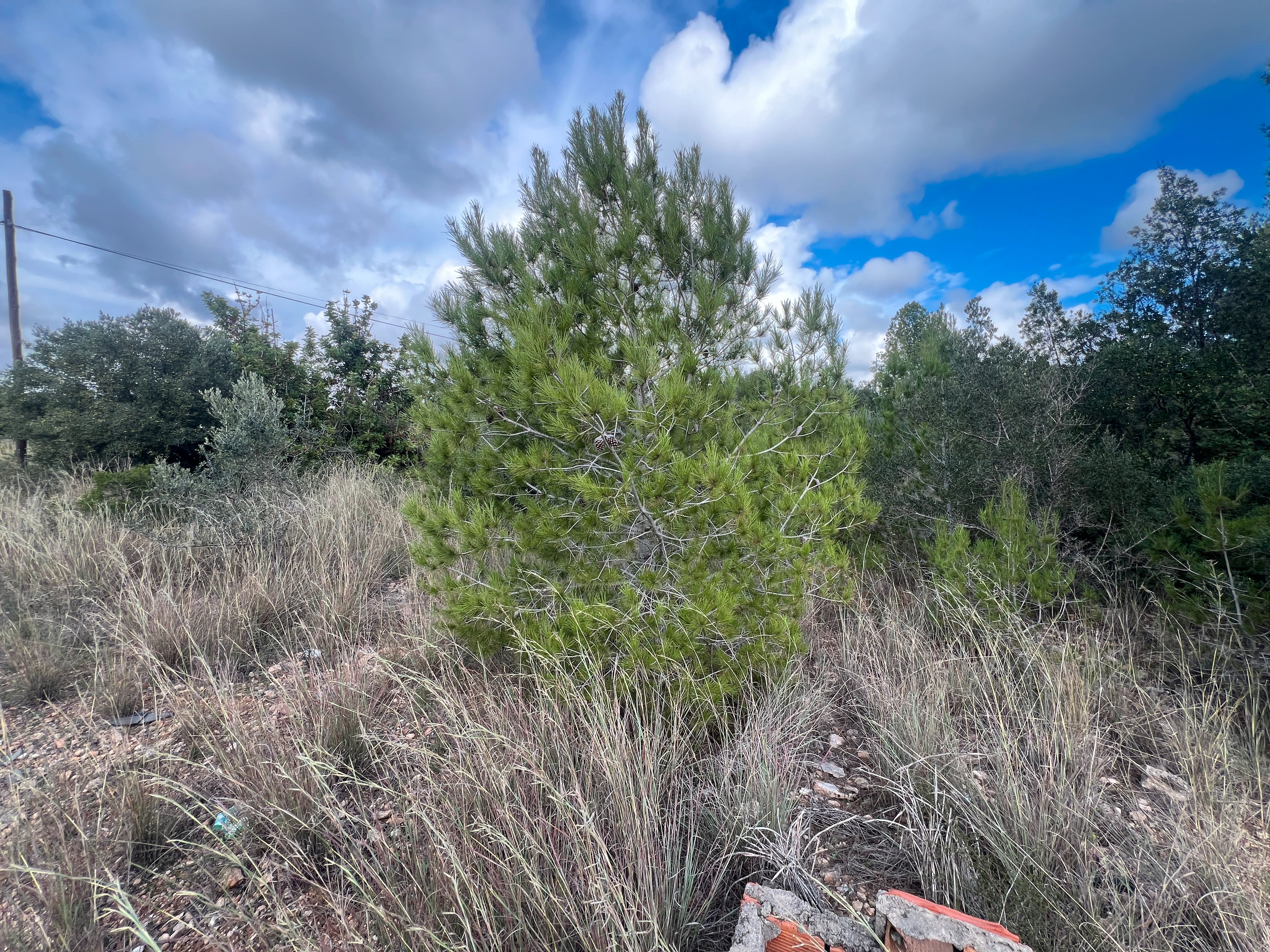 Residencial en venda en El Vendrell