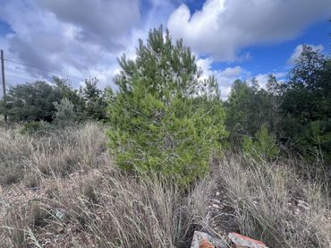 Terrain résidentiel à vendre à Carrer Timbaler del Bruc 7
