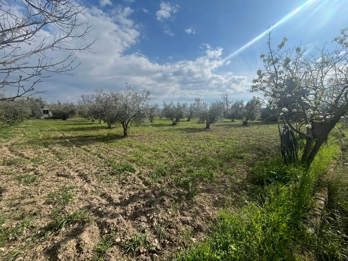 Land for sale in Dúrcal