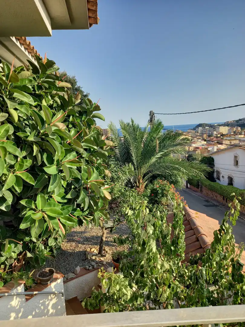 Vista exterior de Casa o xalet en venda en Sant Feliu de Guíxols amb Jardí privat, Piscina i Moblat