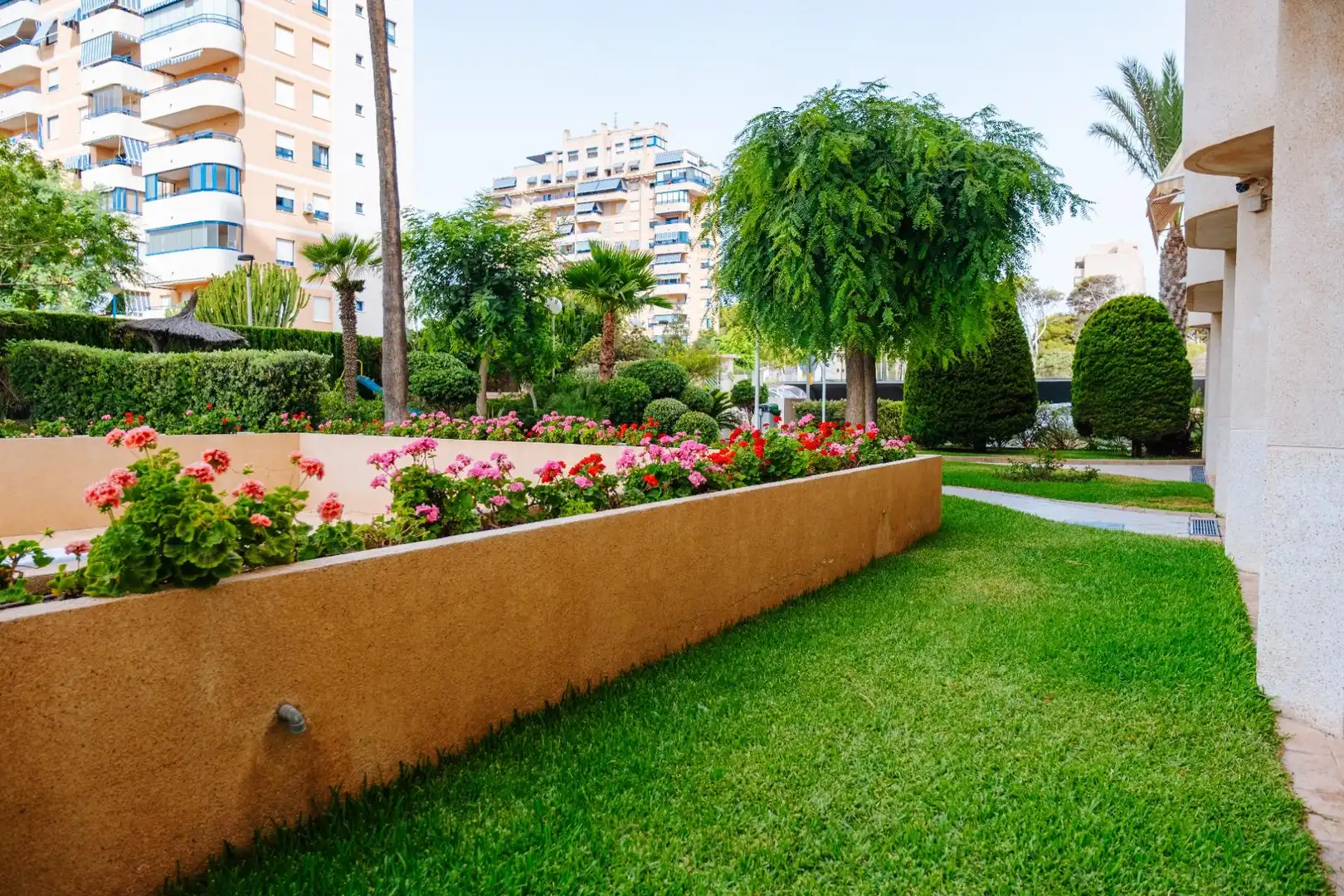 Apartment with pool to rent in Playa Muchavista, imagen 60