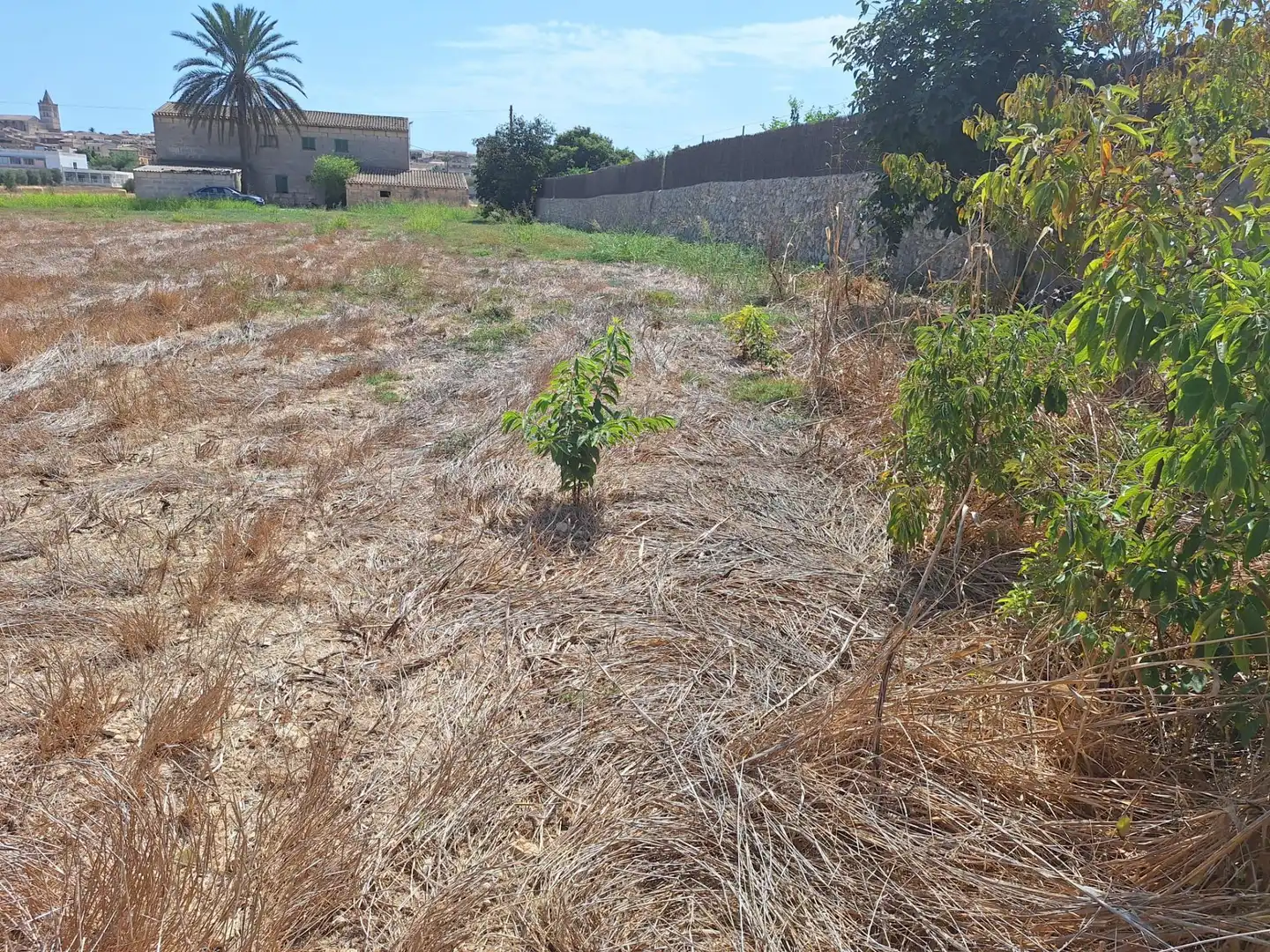 Terreni e lotti in vendita a Sineu, imagen 7