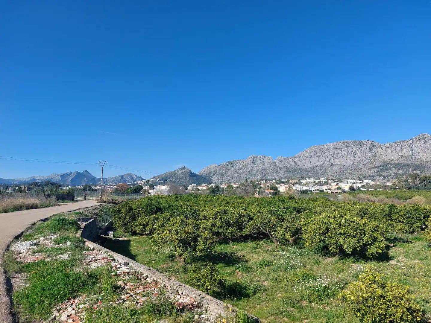 Rural land for sale in Beniarbeig, imagen 9