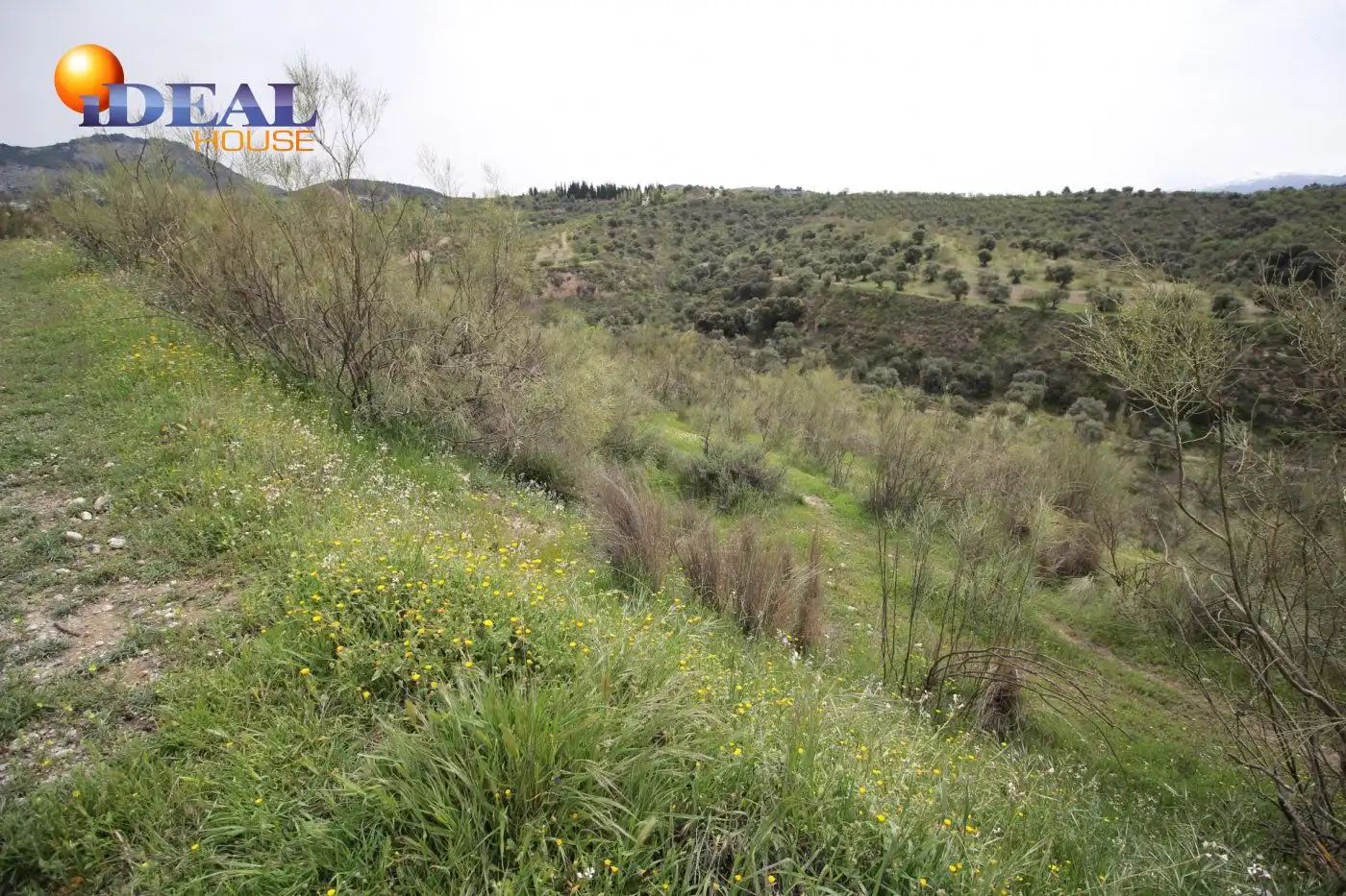 Country homes for sale in Víznar