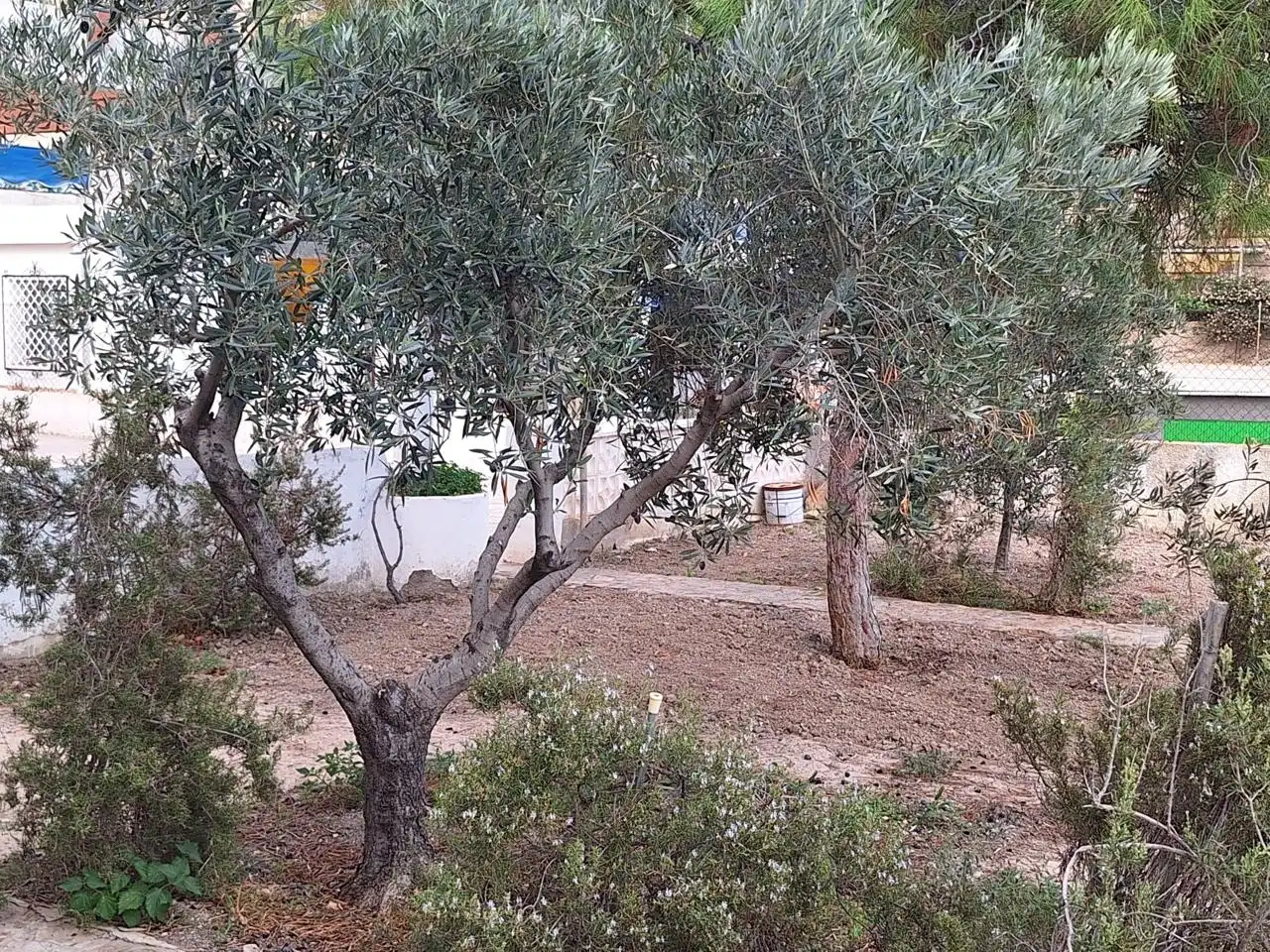 Maison à vendre à Del Timonet, imagen 9