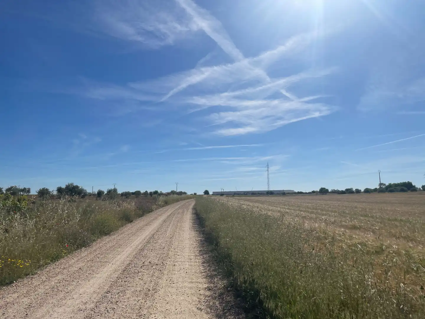 Land for sale in Ocaña