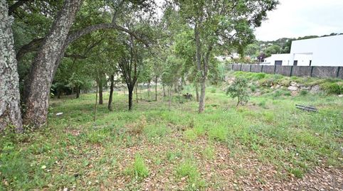 Foto 3 de Residencial de alquiler en Poble, Calonge i Sant Antoni
