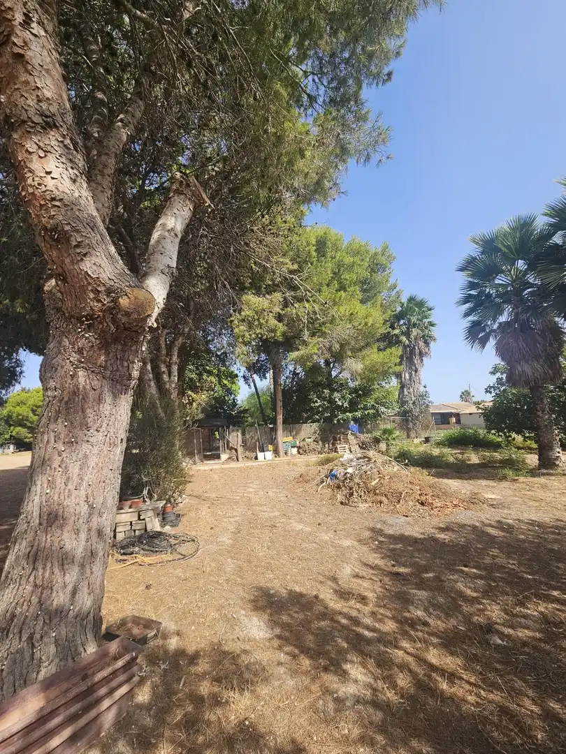 Casa con jardín en venta en Dolores, imagen 30