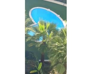 Swimming pool of Flat to rent in Ripollet  with Air Conditioner, Heating and Parquet flooring