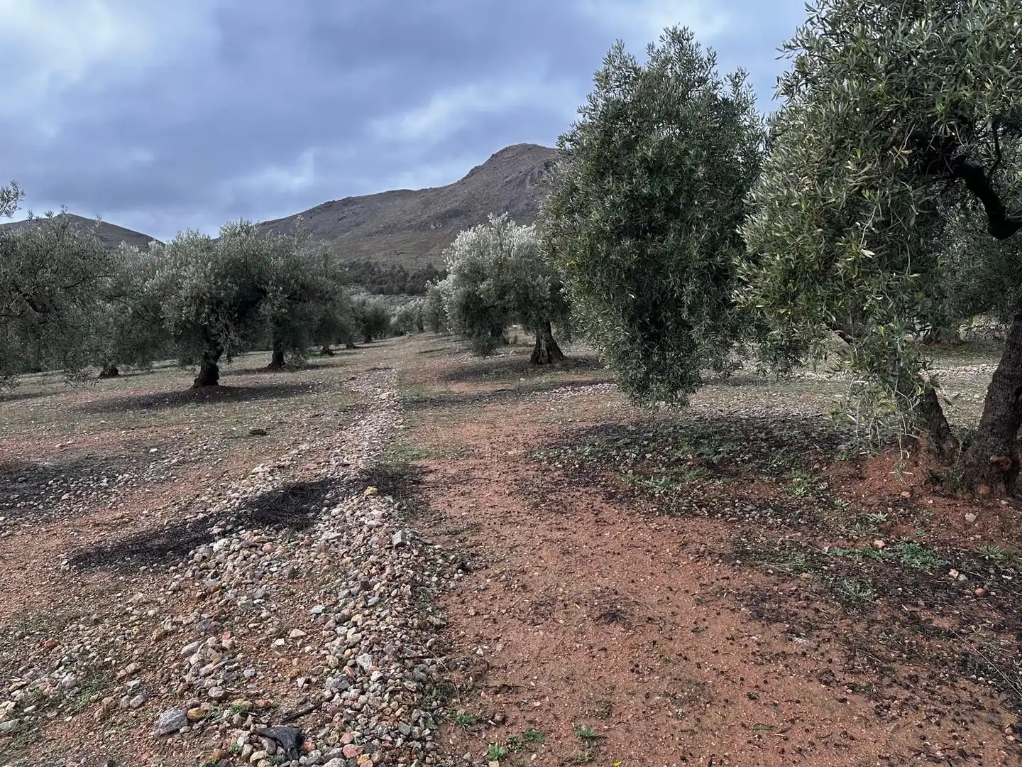 Terreni e lotti in vendita a Atarfe, imagen 16