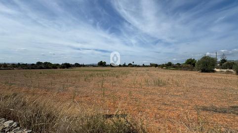 Foto 2 von Grundstücke zum Verkauf in Centro, Inca