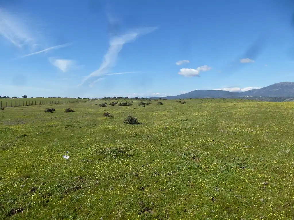 Rural land for sale in Maqueda, imagen 9