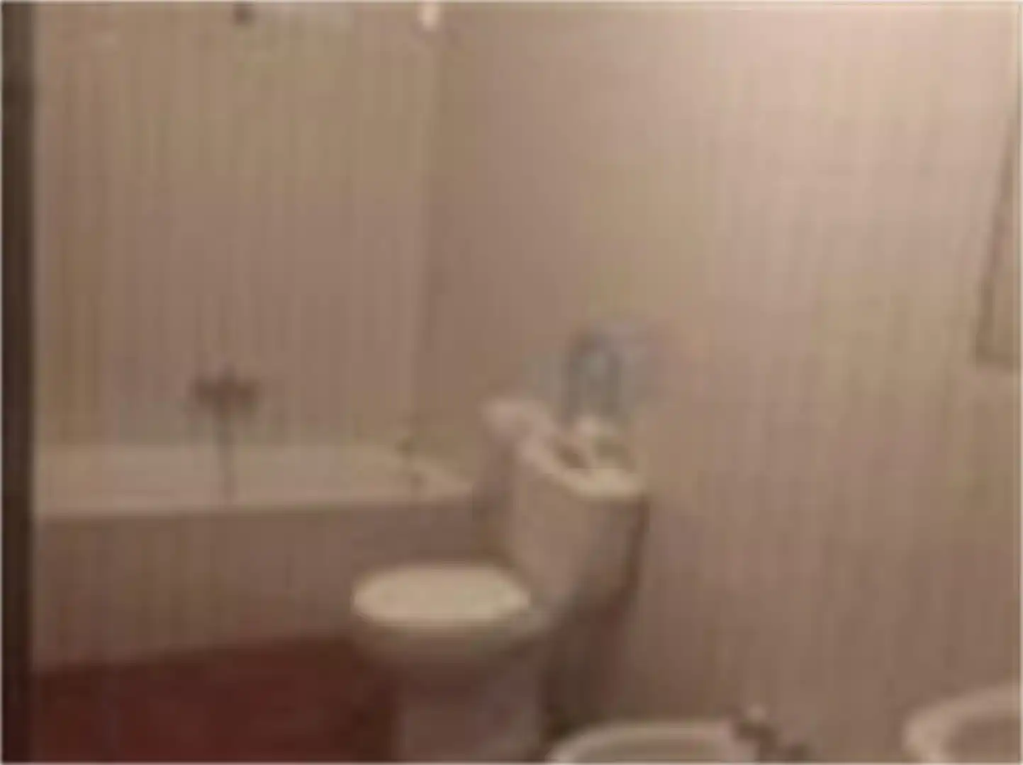 Baño de Casa o chalet en venta en Masegoso