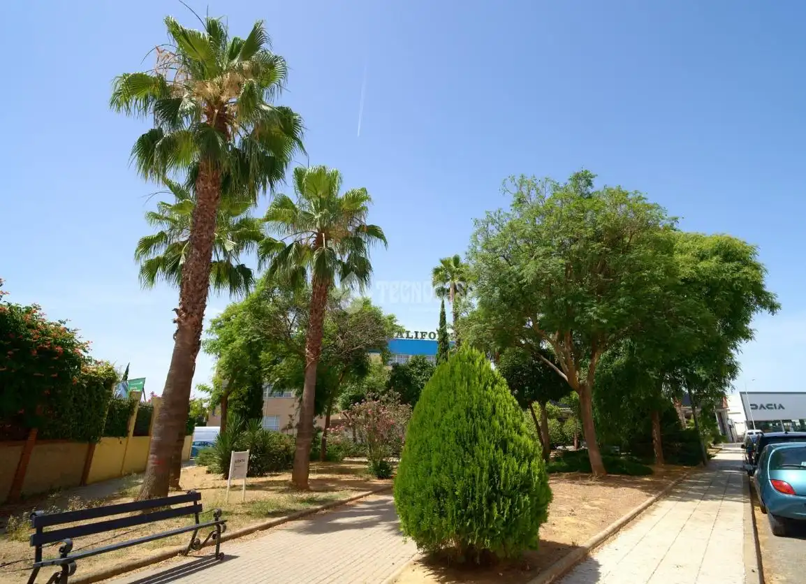 Vista exterior de Piso en venta en Linares