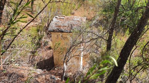 Photo 5 of House or chalet for sale in Benifallet, Tarragona