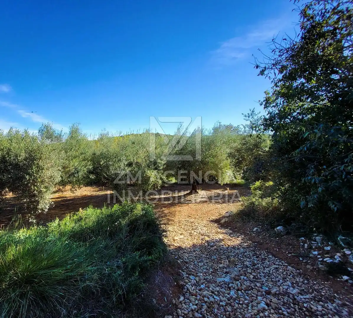Casa rústica en venta en Traiguera, imagen 15