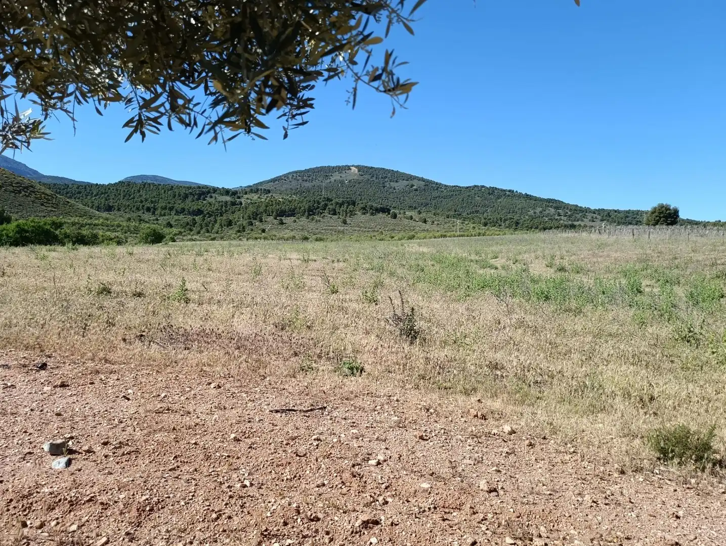 Rural land for sale in Laujar de Andarax, imagen 27