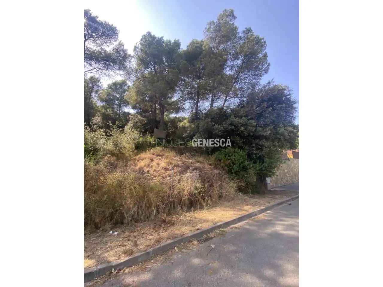 Wohnbaugrundstück zum Verkauf in Camino Font de la Tartrana 85, imagen 7