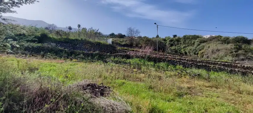 Terreno rústico en venta en Camino de La Sierra, imagen 13