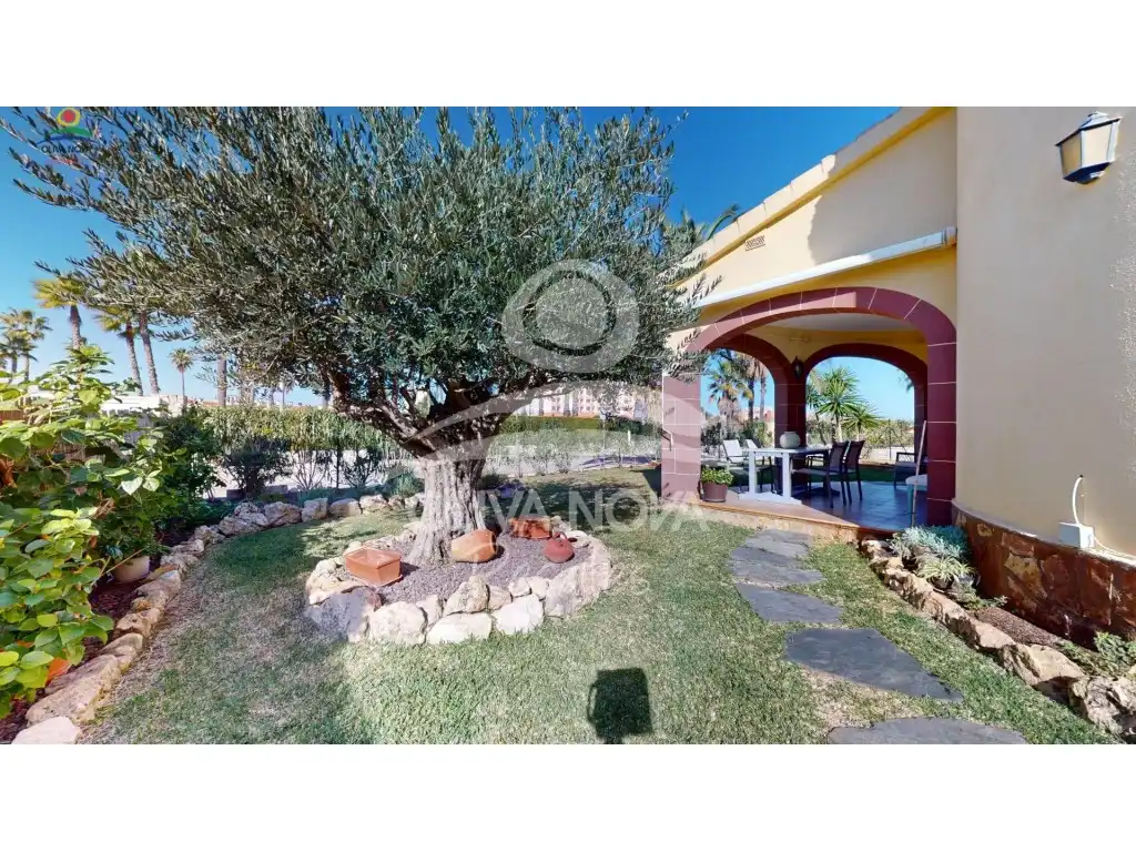 Jardín de Casa o chalet en venta en Oliva con Jardín privado