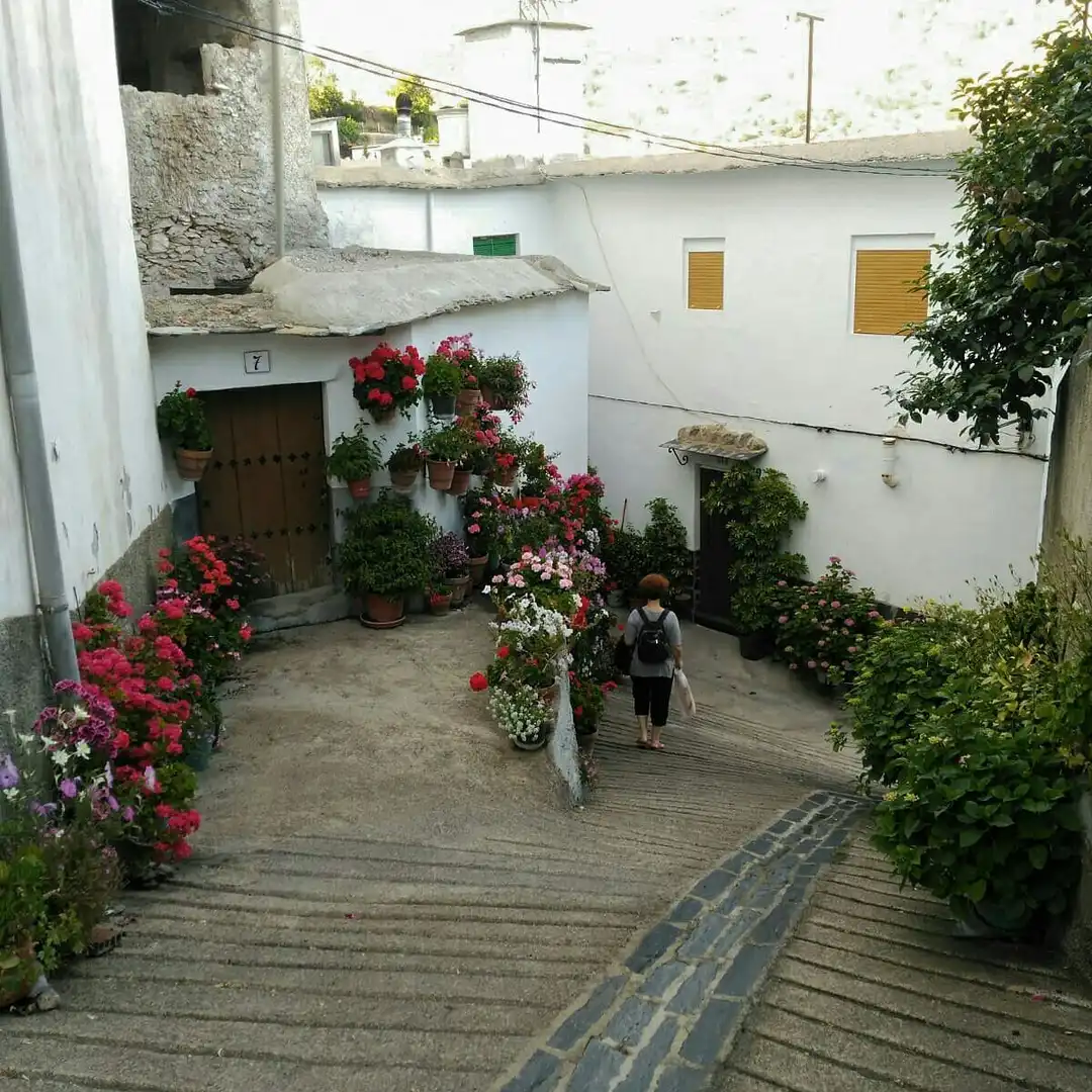 Xalet amb jardí en venda a A-4130 29, imagen 58