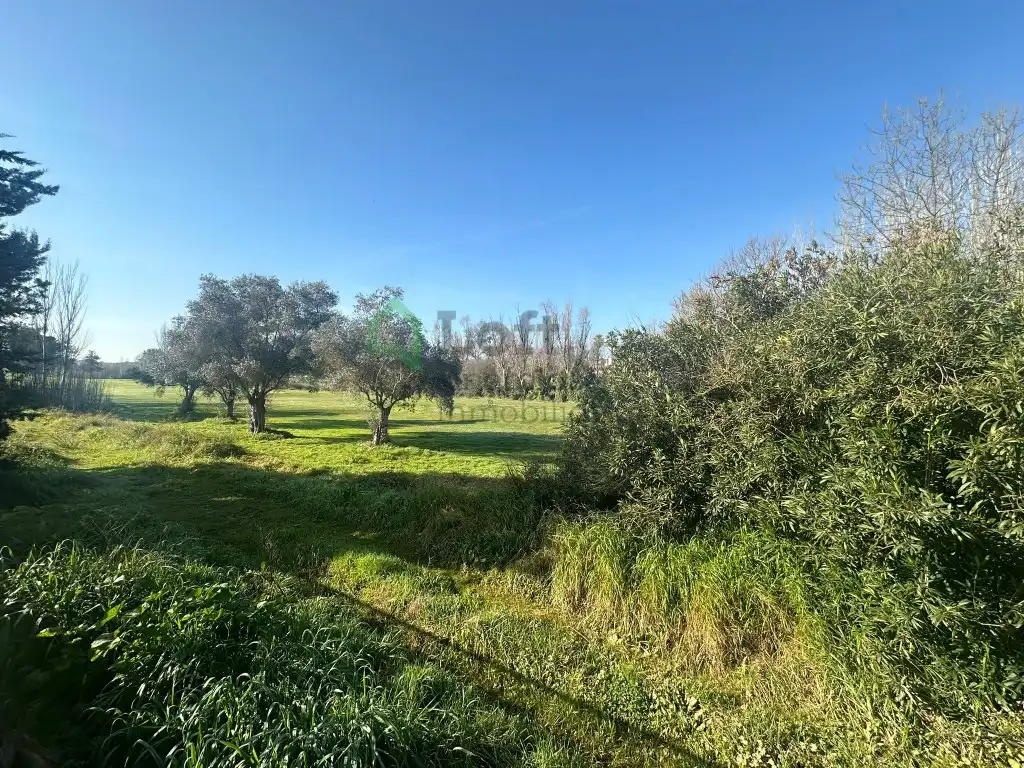 Geschaftsraum zum Verkauf in Golf Guadiana