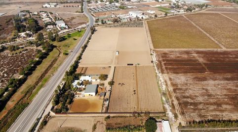 Foto 2 de Finca rústica en venta en Polígono la Ballena Poligono 9 Parcela 9, Las Tres Piedras - Costa Ballena, Chipiona