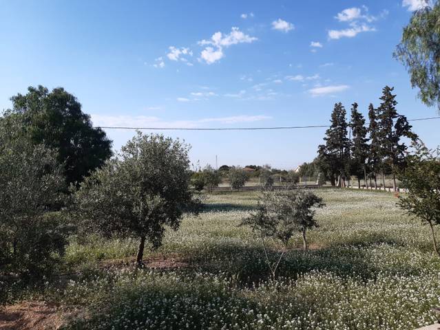 Terreno en Venta en Villamontes - Boqueres