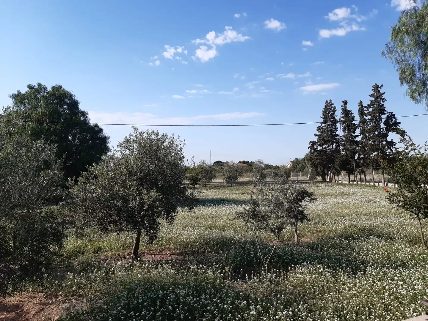 Terreny en venda en San Vicente del Raspeig / Sant Vicent del Raspeig