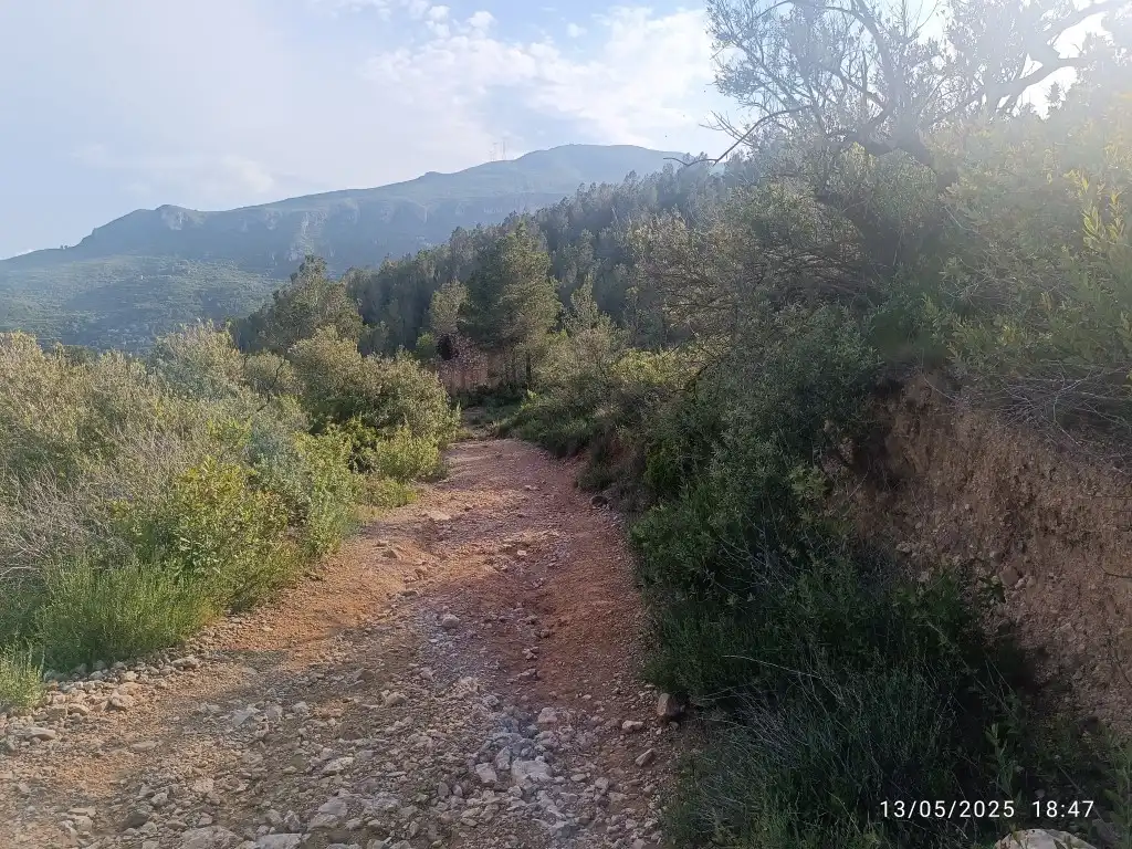 Terreno rustico in vendita a Carrer Major 1, imagen 4