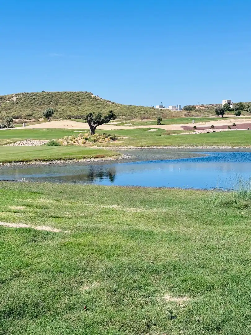 Vista exterior de Casa o chalet en venta en Murcia con Aire acondicionado, Calefacción y Jardín privado