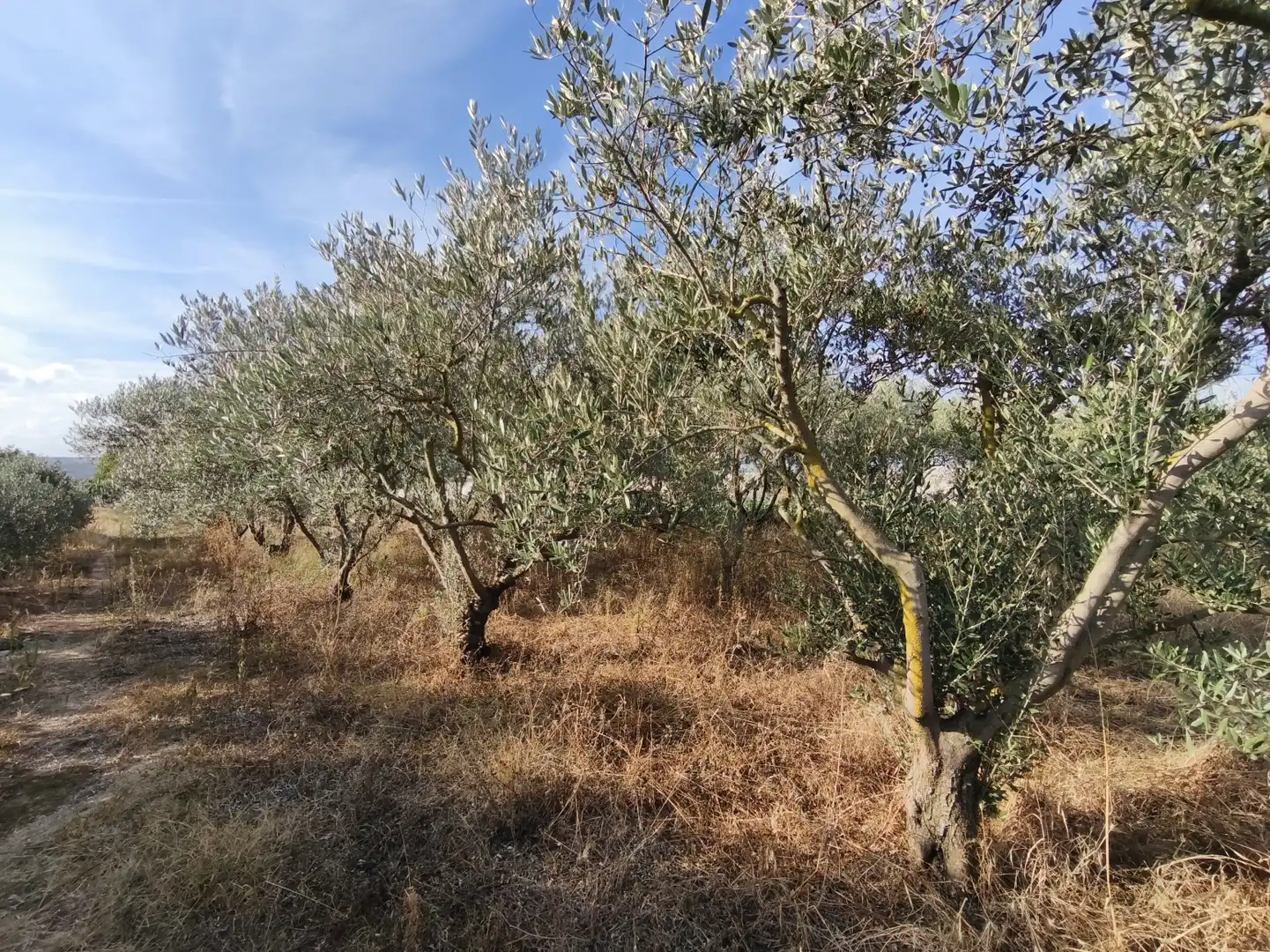 Land for sale in  Logroño