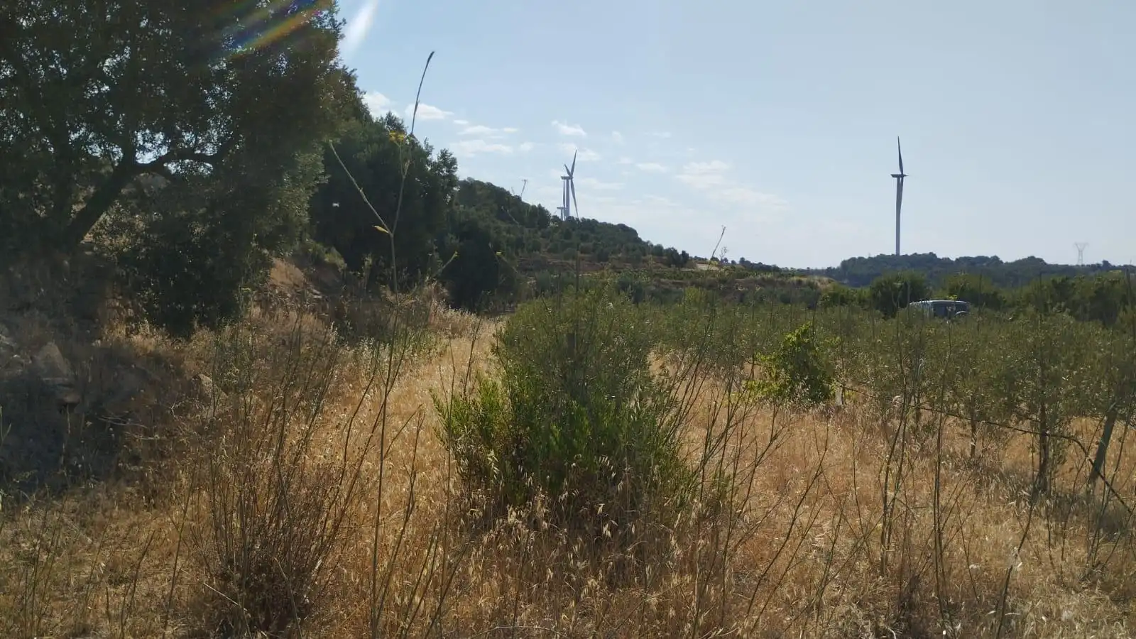 Terreno rústico en venta en Vilalba dels Arcs, imagen 14