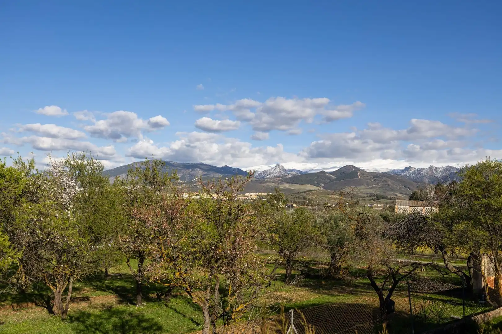 Jardín de Casa o chalet en venta en Villa de Otura