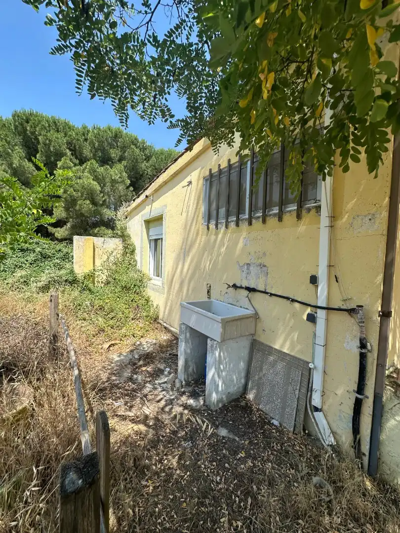 Vista exterior de Finca rústica en venda en Traspinedo amb Jardí privat i Piscina