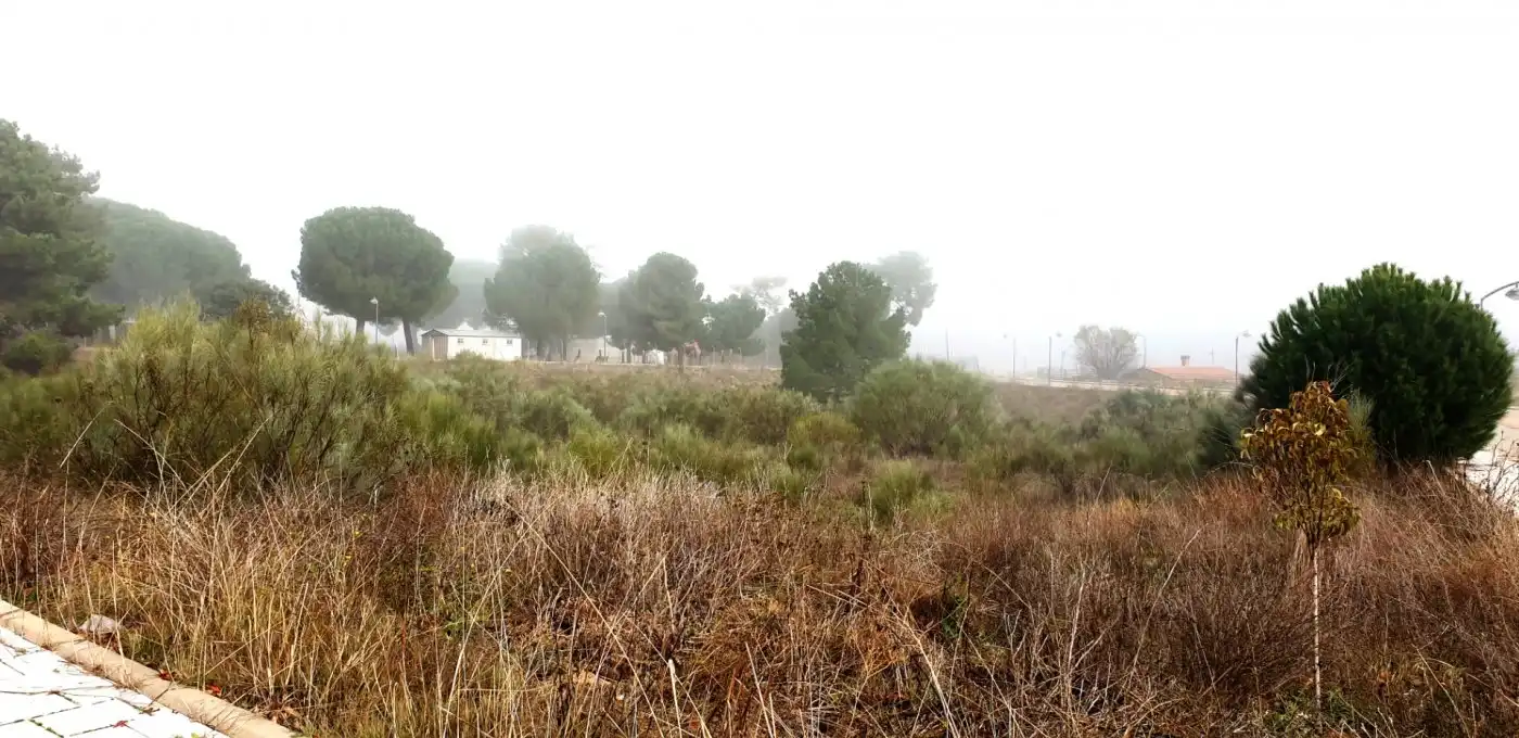 Terreno residencial en venta en Boecillo, imagen 3