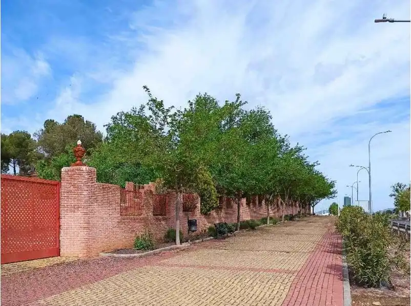 Business premises for sale in Calzada de Calatrava, imagen 18