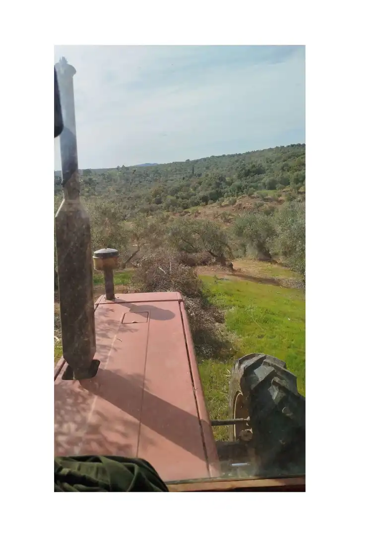 Terreno en venta en Hornachuelos