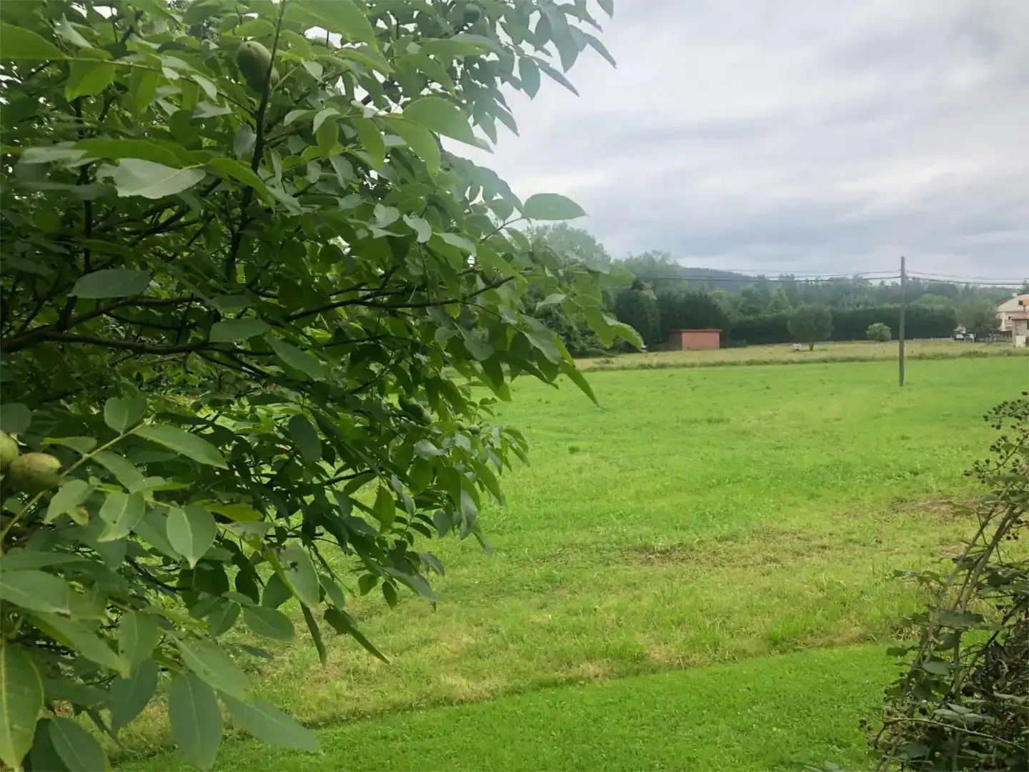 Grundstücke zum Verkauf in Piélagos