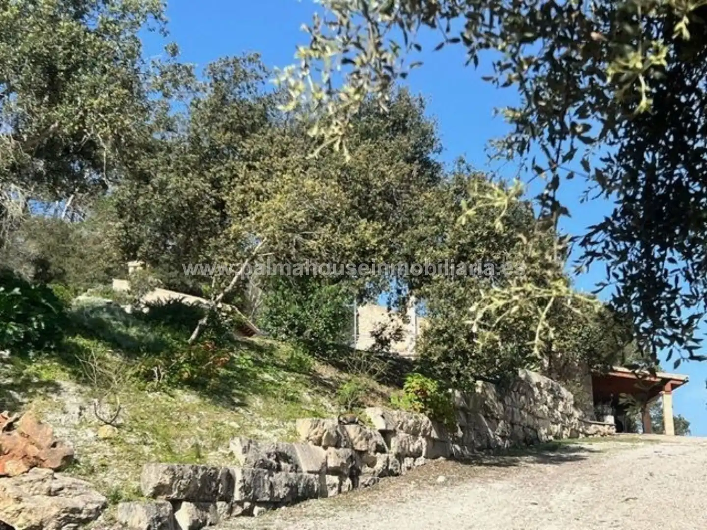 Country homes for rent in Sineu