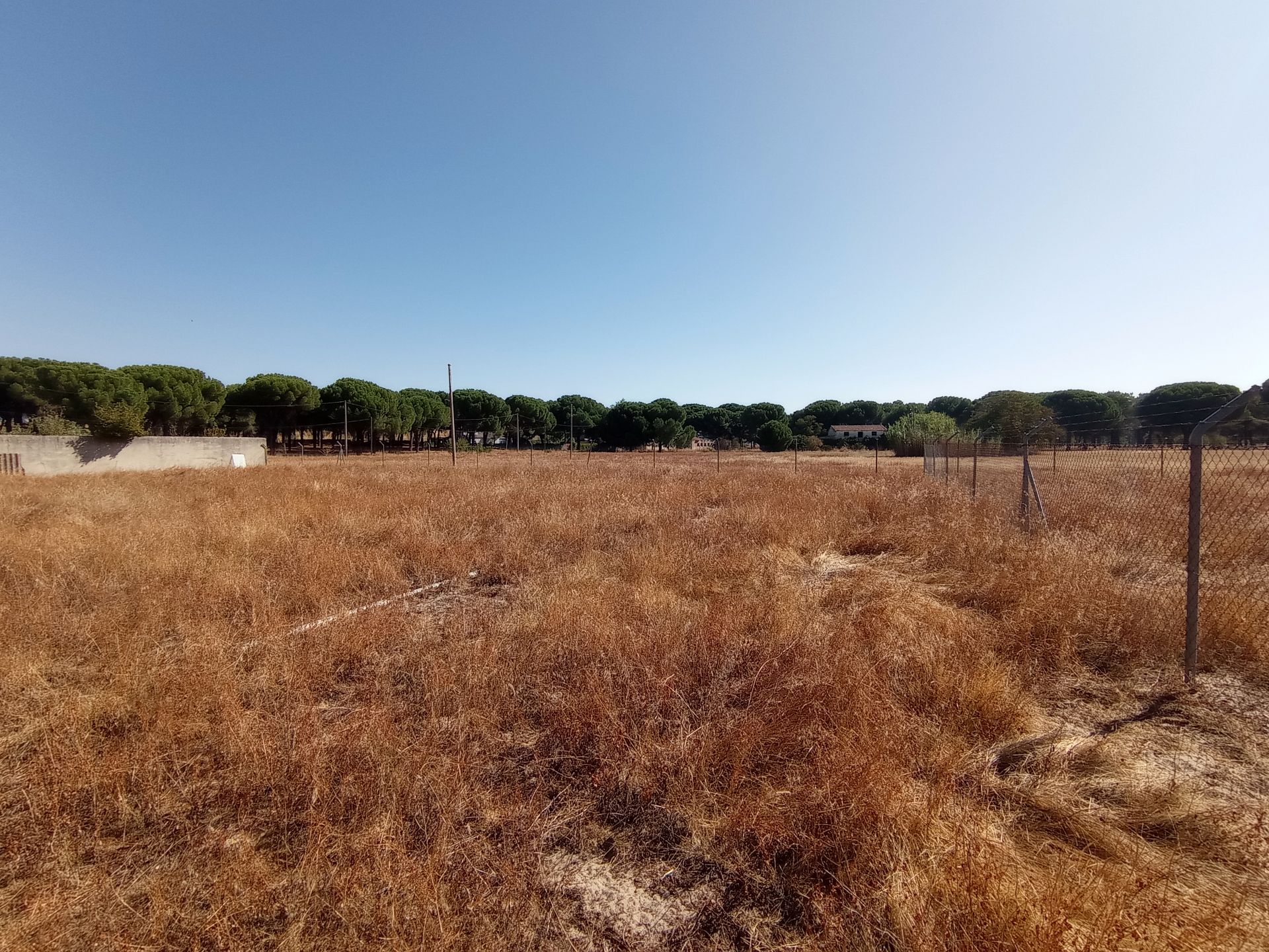 Terreno industrial en venta en Laguna de Duero