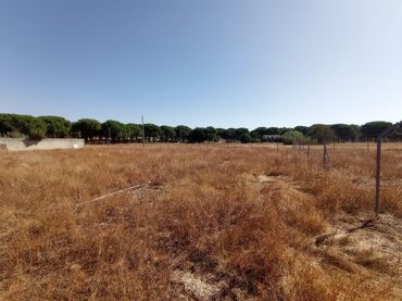 Terreny industrial en venda a Calle Cañada de la Nava 10