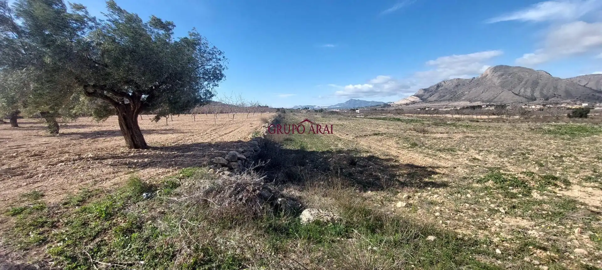 Terreno rustico in vendita a Calle Hondón de los Frailes 2, imagen 7