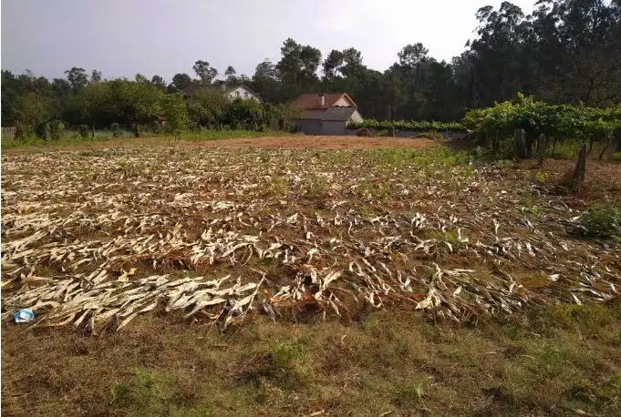 Terrenys i solars en venda a Salvaterra de Miño