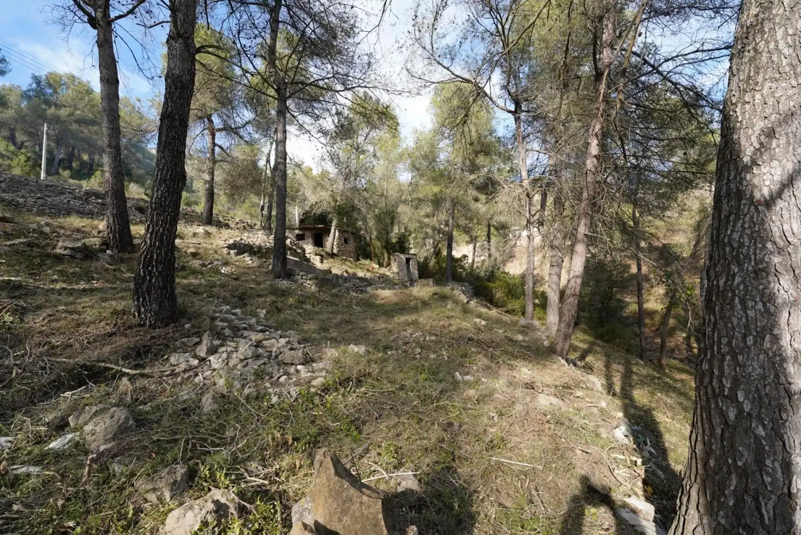 Terrenys i solars en venda a Olesa de Bonesvalls, imagen 7